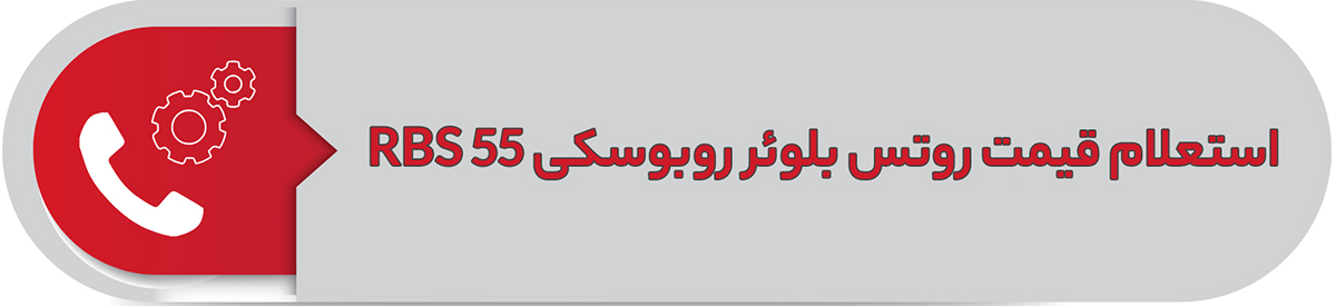 استعلام قیمت روتس بلوئر روبوسکی RBS 55